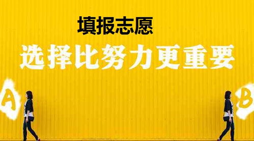 過來人告訴你心知肚明 高考填報志愿的十大關系幫你填志愿