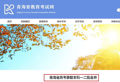2020年青海省高考志愿填報(bào)系統(tǒng)密碼重置及查詢申請表操作指南
